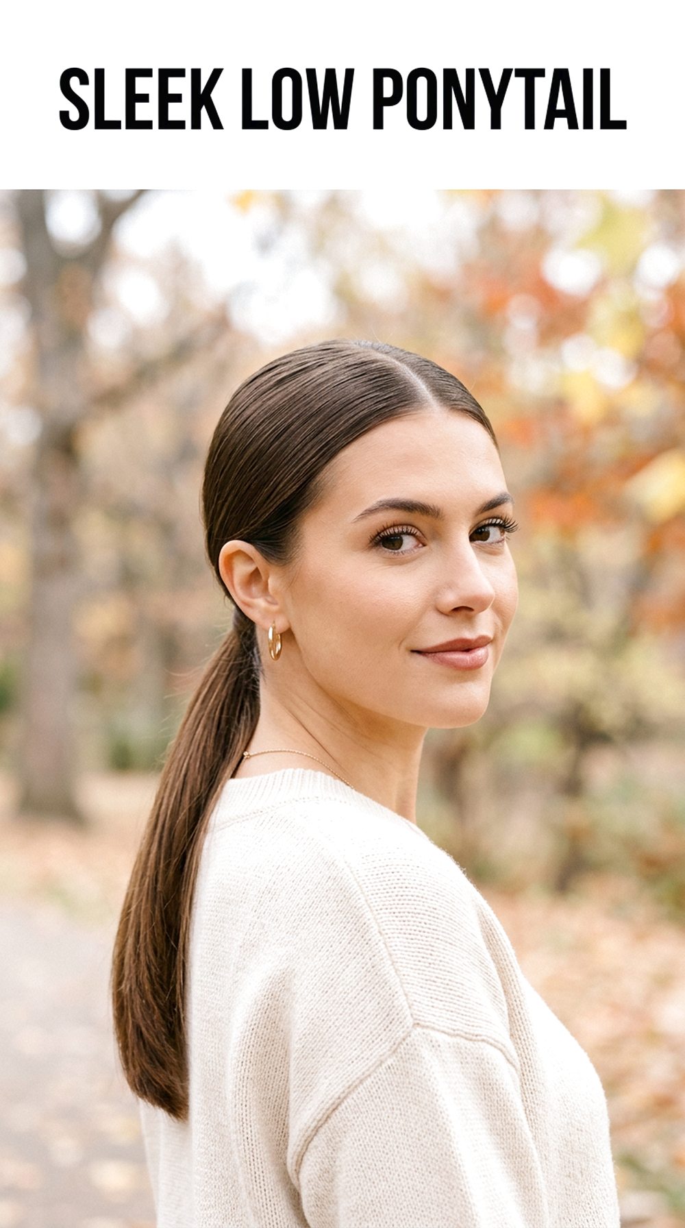 Sleek Low Ponytail